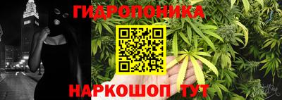 крисы Гай