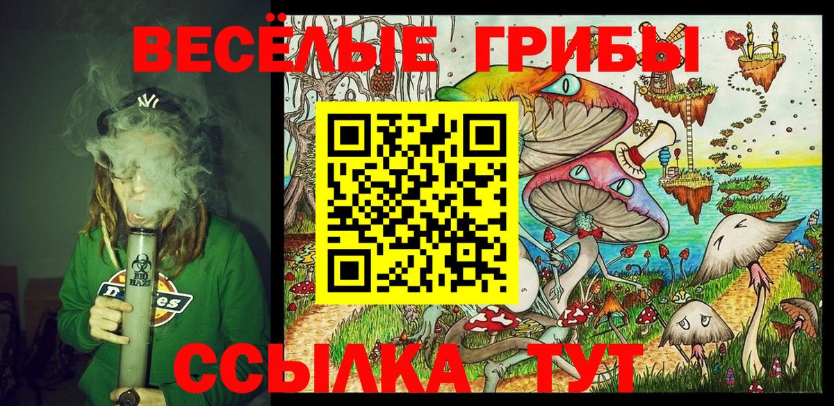 Галлюциногенные грибы Cubensis  Вход с VPN  Лесосибирск 